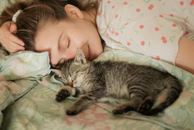 Do Cats Choose Their Owner: 10 Factors Influencing Cats' Preferences ...